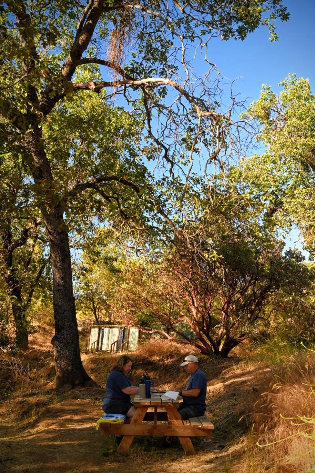 Campground At Sequoia Mountain Farms - Bring Your Own Tent Or Rv - No Bedrooms Or Beds Provided Miramonte Eksteriør bilde
