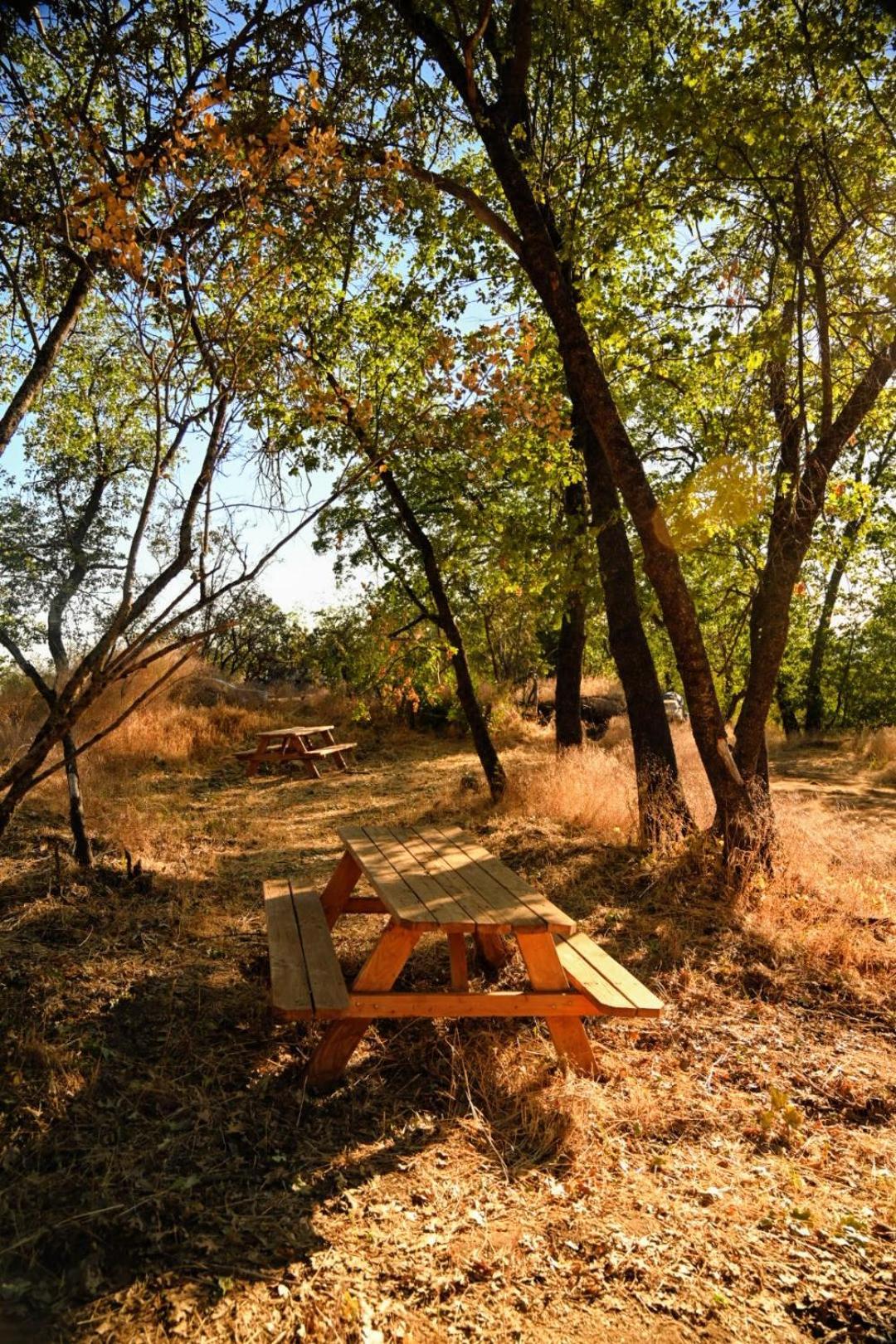 Campground At Sequoia Mountain Farms - Bring Your Own Tent Or Rv - No Bedrooms Or Beds Provided Miramonte Eksteriør bilde